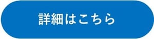 青楕円「詳細はこちら」