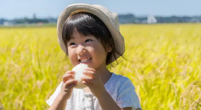 おむすびロボット｜鈴茂器工株式会社